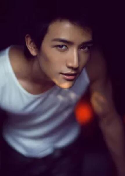 国产帅哥美男视频在线观看网站,在线观看网站带你领略盛世美颜