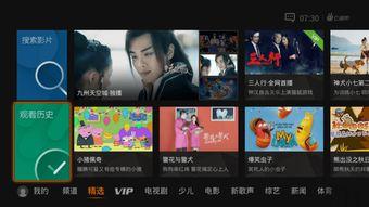 国产qq回归视频下载安装