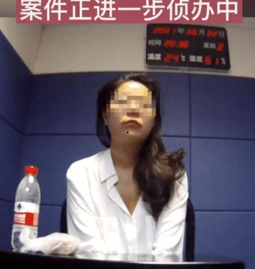 国产沈先生探花视频网站,揭秘国产视频网站的独特魅力